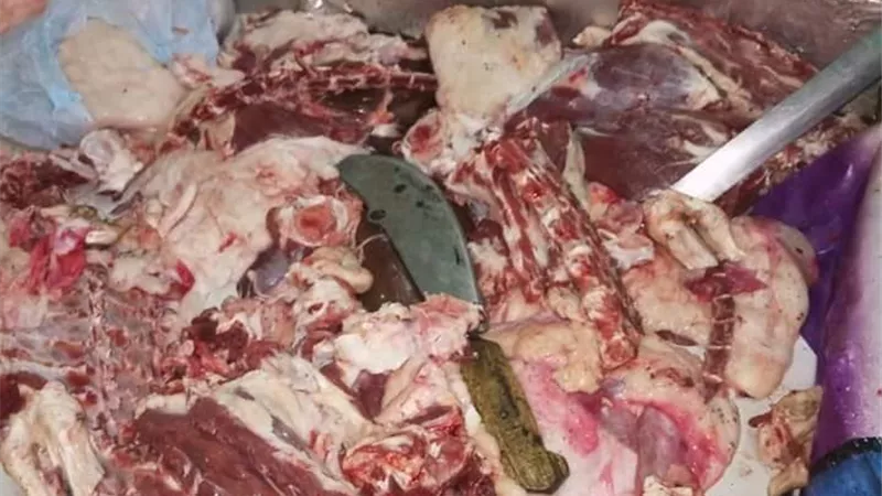ضبط ١٠٠ كيلو من اللحوم البلدى الغير صالحة للاستهلاك الادمى..صور