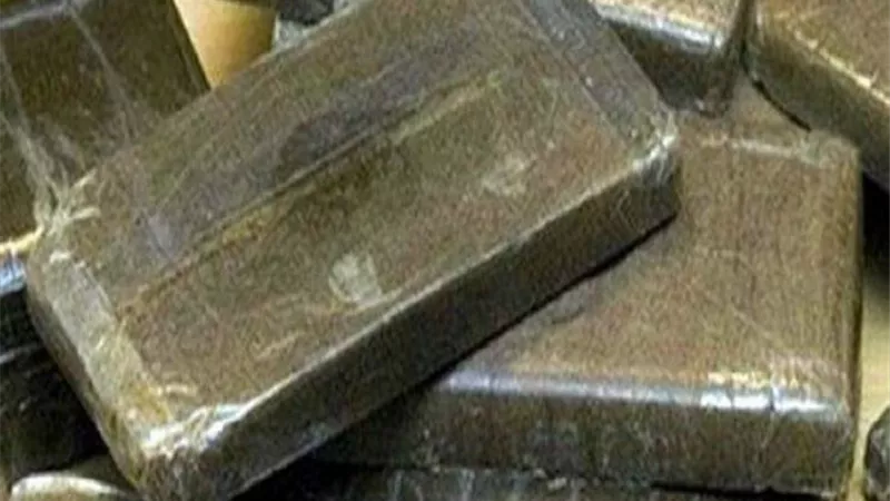 ضبط 12.5 كليو حشيش مع 3 عاطلين بالدقهلية