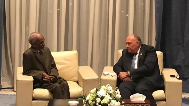 شكري يلتقي مع رئيسى التنفيذي ونقاط الاتصال بالآلية الأفريقية لمراجعة النظراء