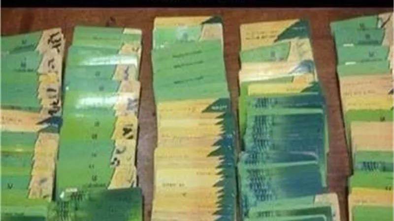7 نوفمبر آخر موعد لتحديث بيانات البطاقة التموينية وإضافة المواليد الجدد بالأقصر