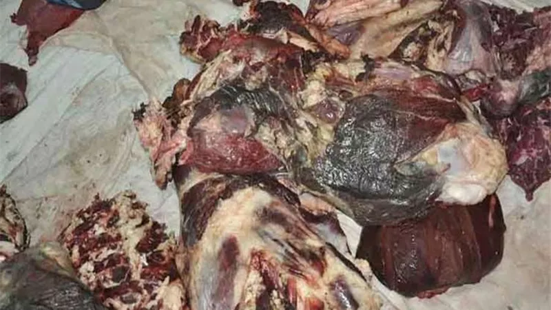 ضبط 50 كيلو من اللحوم الفاسدة داخل مطعم سياحى شهير بأسوان
