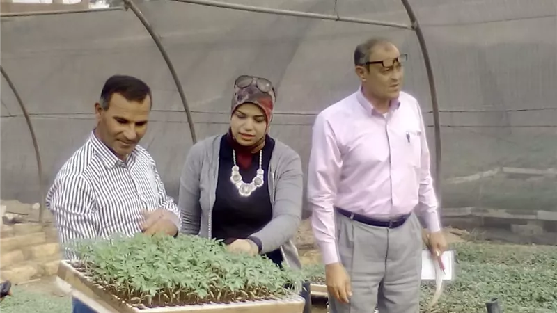الزراعة تطمئن على مشاتل الخضر بمحافظة الإسماعيلية..صور