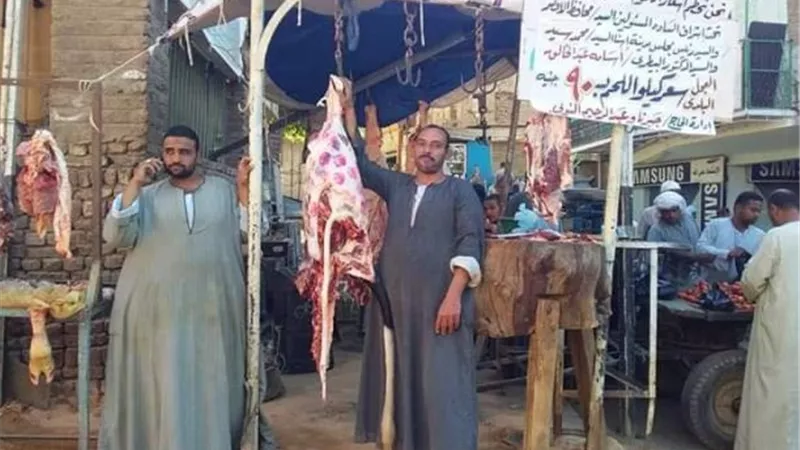 إطلاق مبادرة لبيع اللحوم بـ 90 جنيها بمركز إسنا جنوب الأقصر