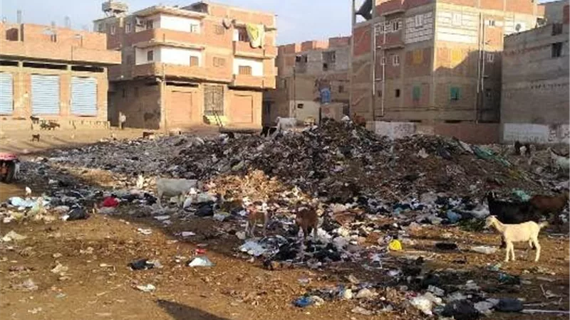 تراكمات القمامة قنابل موقوتة بقرى الشرقية