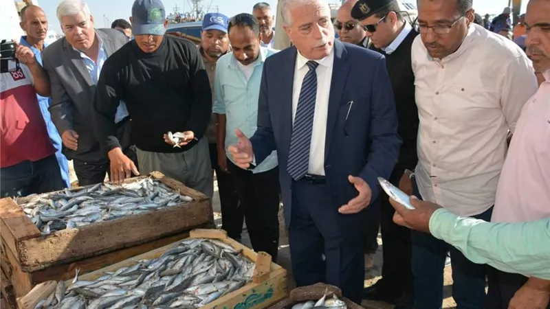 فودة يتفقد الأعمال الانشائية لتطوير ميناء الطور البحرى