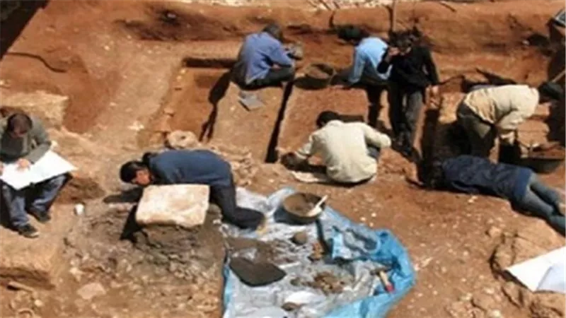 ضبط ٩ عاطلين اثناء قيامهم بالتنقيب عن الآثار بالدقهلية