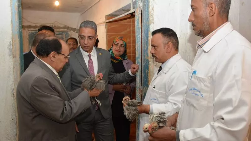 محافظ سوهاج فى جولة لمحطة إكثار الدواجن التابعة للمحافظة
