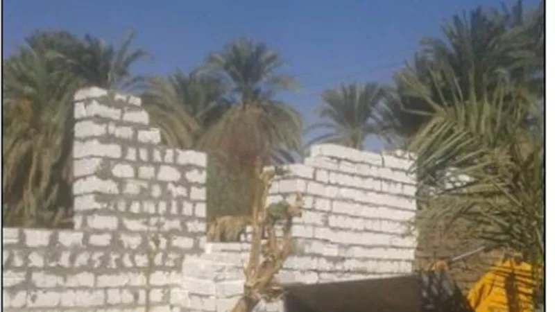 إزالة التعديات على الأراضى بقرية الشغب بإسنا