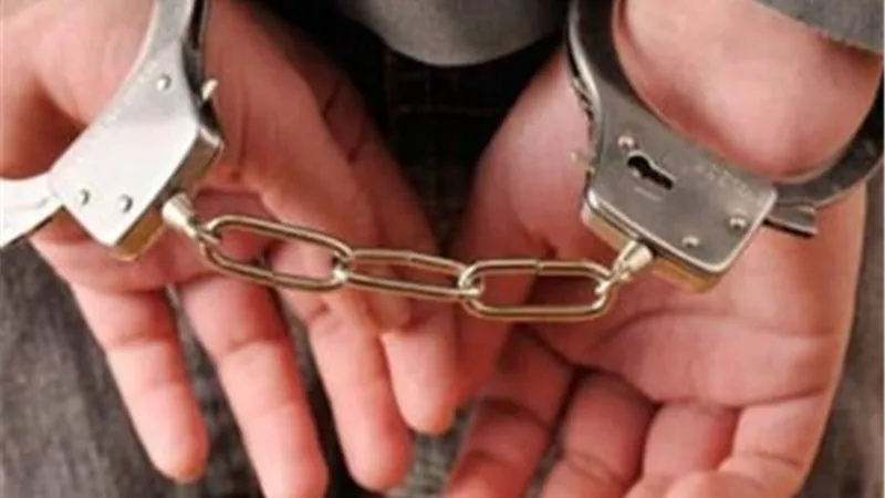 إحالة أوراق ربة منزل لفضيلة المفتى بتهمة قتل عمها بالسم