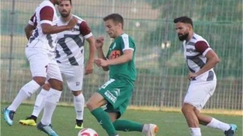 ماورڤيرك يواصل تصدره للدورى النمساوى