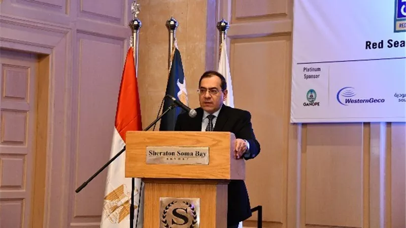 الملا: طرح أول مزايدة عالمية للبحث عن البترول بالبحر الأحمر قبل نهاية العام