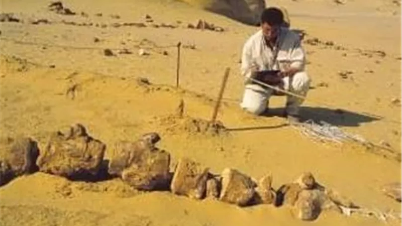 تعرف على .. رحلة التنوع البيولوجي خلال 40 مليون سنة