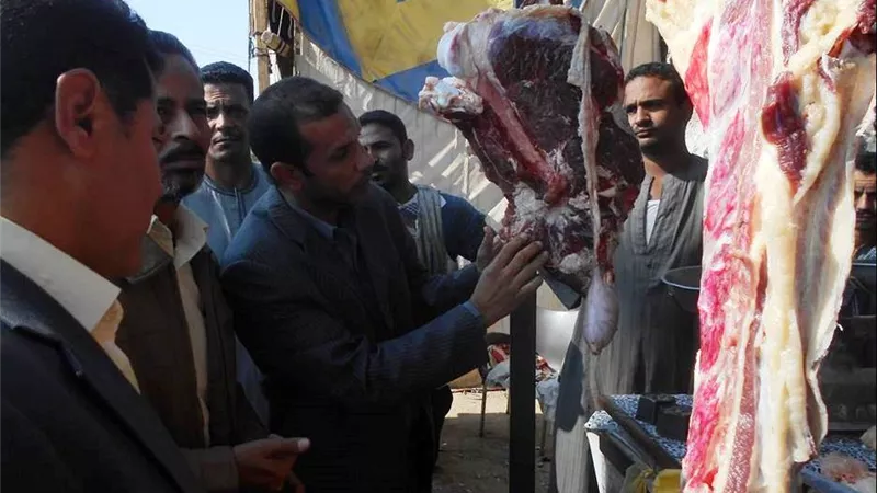 ضبط 140 كيلو لحوم غير صالحة بسوهاج.. صور