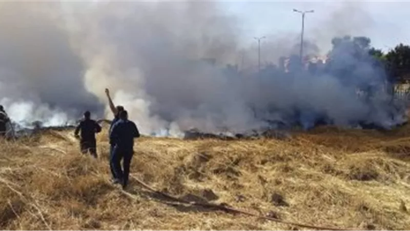 السيطرة على حريق بالجبانة الفاطمية الأثرية في أسوان .. صور