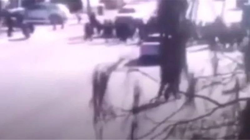 قتلى وجرحى إثر دهس مجموعة طلاب في الصين