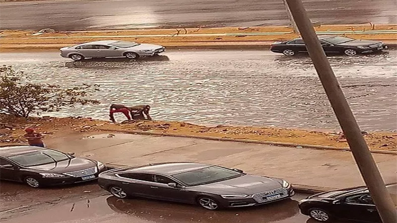 بالصور¨ 