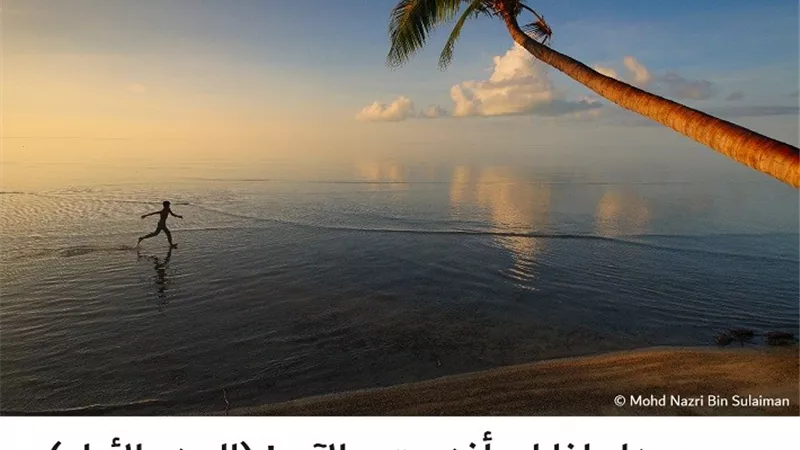 لماذا لم أفز حتى الآن ! (الجزء الأول)