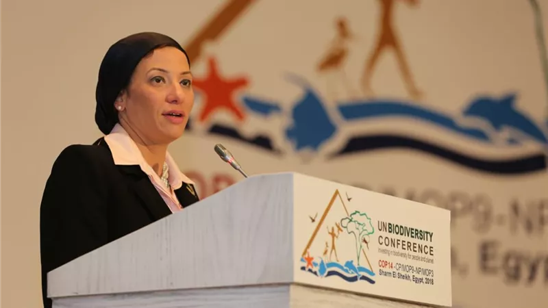 وزيرة البيئة تستعرض سبل حماية الدلافين بمصر