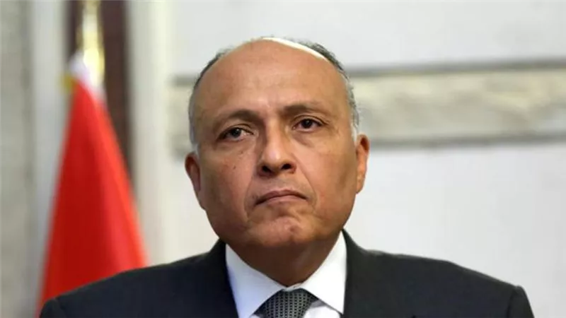 وزير الخارجية يشارك في الاجتماع الوزاري لدول جوار ليبيا بعد غد بالعاصمة السودانية الخرطوم