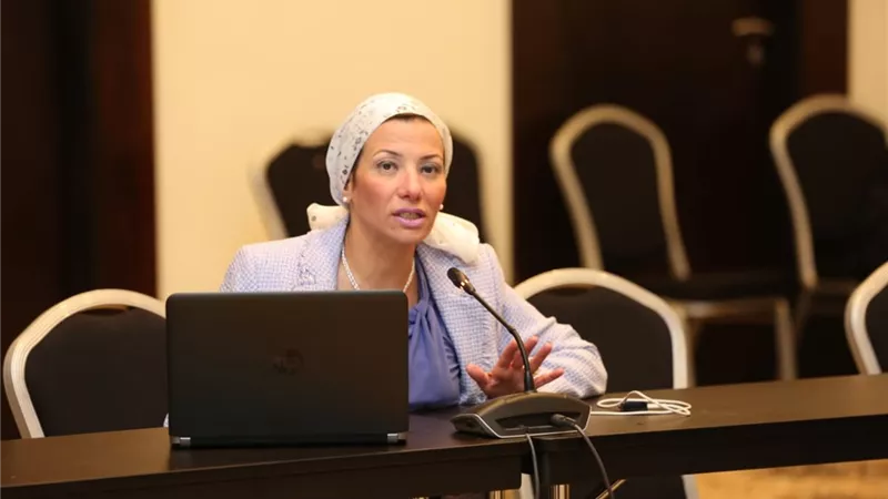 فؤاد تترأس الإجتماع الفني لفريق عمل المبادرة المصرية ربط إتفاقيات ريو