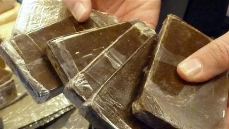 ضبط 10 طرب حشيش و 1800 قرص مخدر بقطار الاقصر