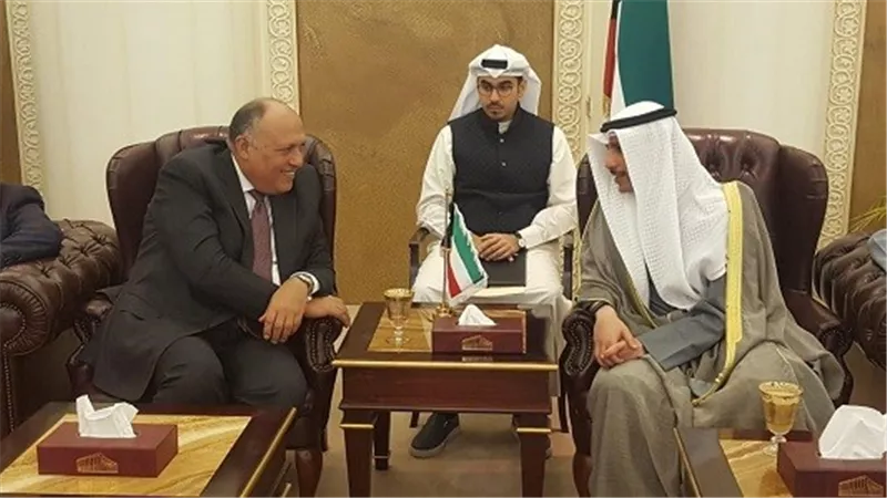 وزير الخارجية يلتقي رئيس مجلس الأمة الكويتي