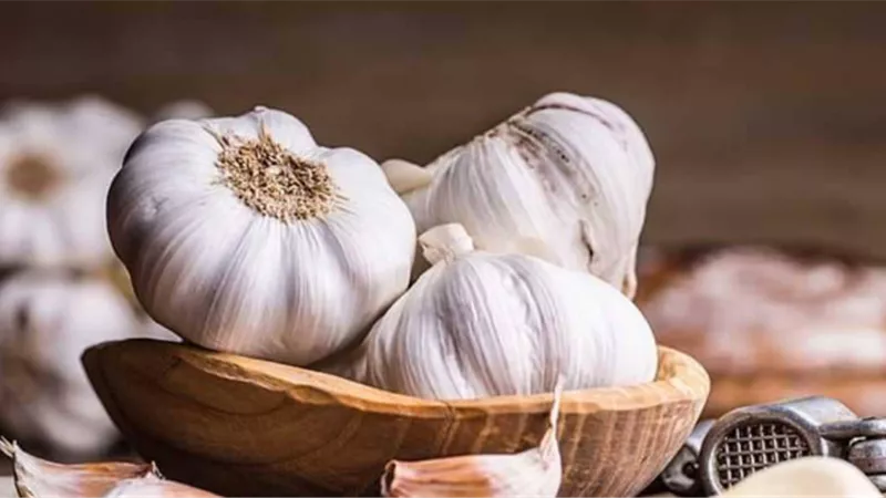 الثوم.. علاج سحرى لهذا المرض الخطير