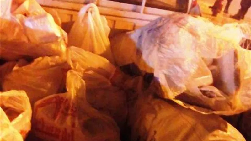 ضبط ربع طن لحوم فاسدة بمحل شهير فى القاهرة الجديدة..بالصور