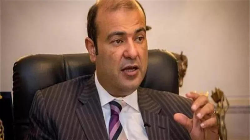خالد حنفي يطالب بتوطين بعض الصناعات الفرنسية بالمناطق الاقتصادية والصناعية والاستثمارية في مصر