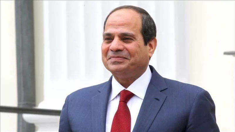 الكوميسا تشيد بجهود الرئيس السيسي