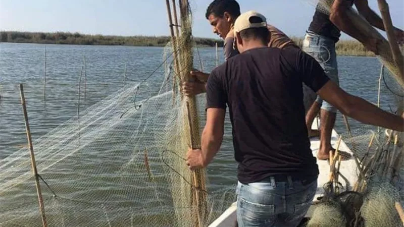 محافظ كفرالشيخ يتابع حملة إزالة التعديات على بحيرة البرلس