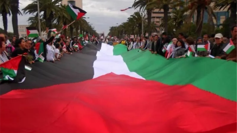 اليوم العالمى للتضامن مع الشعب الفلسطيني، بأوبرا سيد درويش