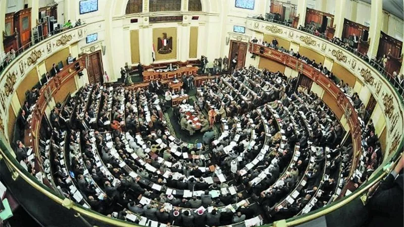 بطاقات التموين وأسعار البطاطس على مائدة مجلس النواب