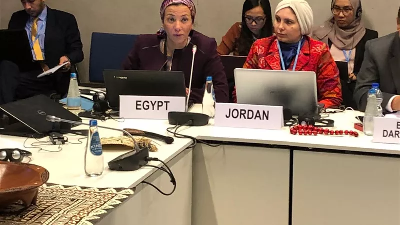 فؤاد بمؤتمر المناخ ببولندا تدعو لوفاء الدول المتقدمة بالتزاماتها لمواجهة تغير المناخ