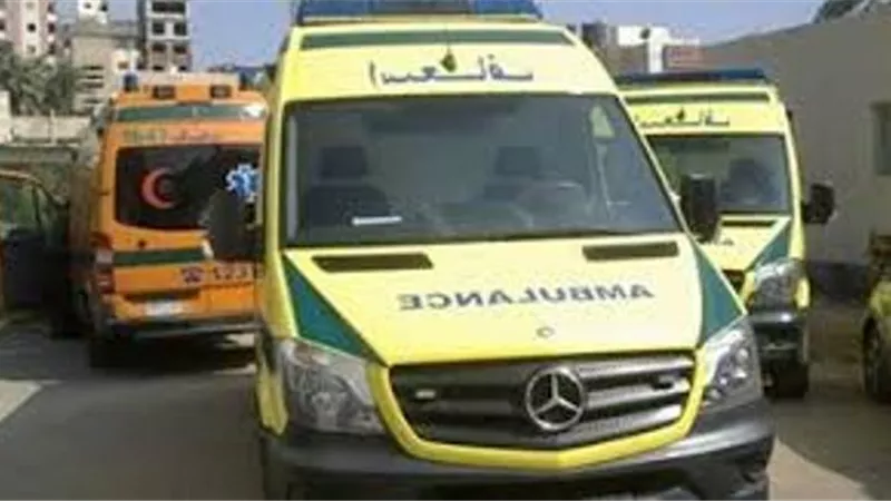 مصرع عامل صعقا بالكهرباء أثناء تركيب ماتور مياه بحظيرة بالدقهلية