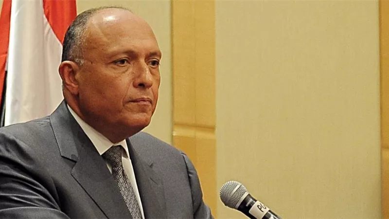 شكرى يعود من الرياض بعد مشاركته فى الاجتماع الوزارى