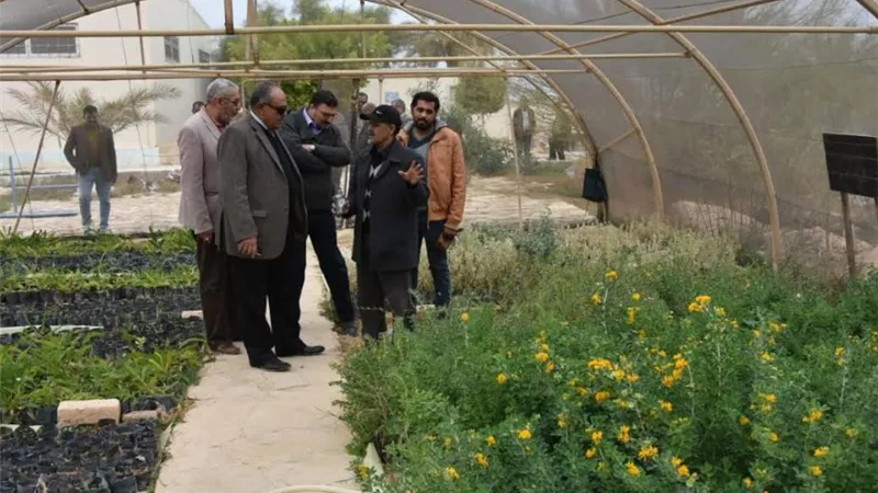 تنمية وتأهيل 48 وادي وتوزيع 14000 شتلة تين وزيتون ولوز من فوكه حتي السلوم