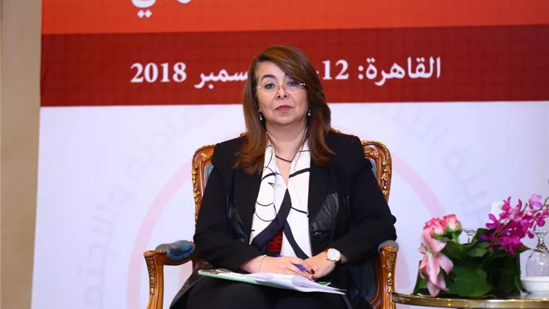 والي: تخصيص ٢٧ ديسمبر ليكون يوما لمنظمات المجتمع المدني