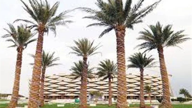 الموصلي: المنتجات الثانوية للنخيل توفر بدائل محلية للأخشاب والأعلاف