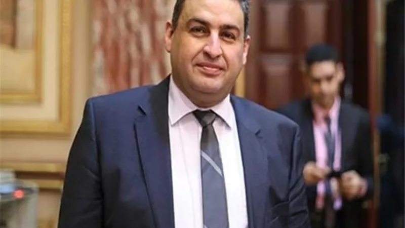 العقاد يطالب بكتابة الأسعار على المنتجات والسلع الاستراتيجية