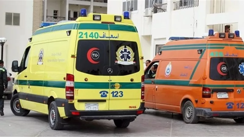إصابة عامل وطفلان فى تصادم سيارة نقل بعربة كارو بسوهاج