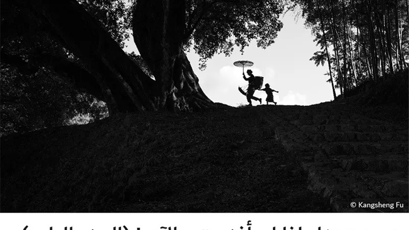 لماذا لم أفز حتى الآن ! (الجزء الرابع)