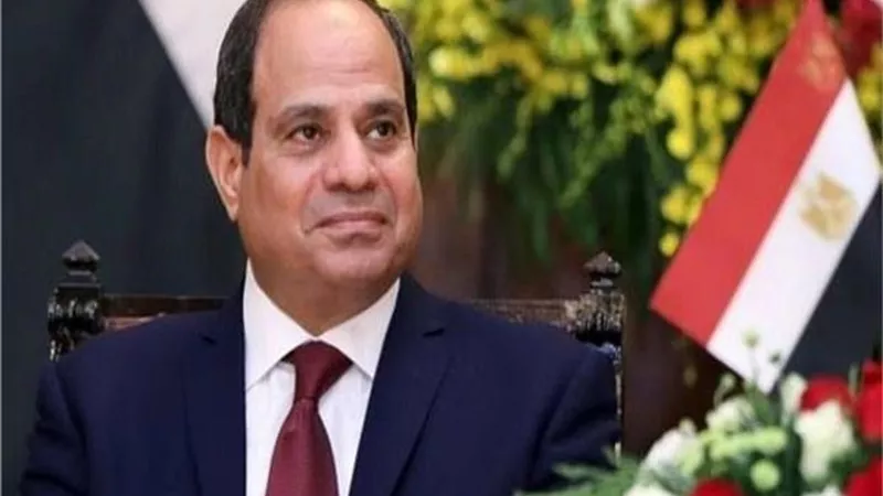 راضى: الرئيس يناقش دفع الاستثمار النمساوى بمجالى النقل ومترو الانفاق