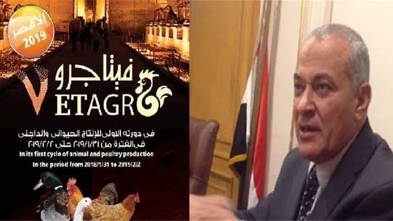 رئيس شعبة الدواجن: معرض الأقصرنقلة جديدة للتكنولوجيا العالمية للإنتاج فى الصعيد