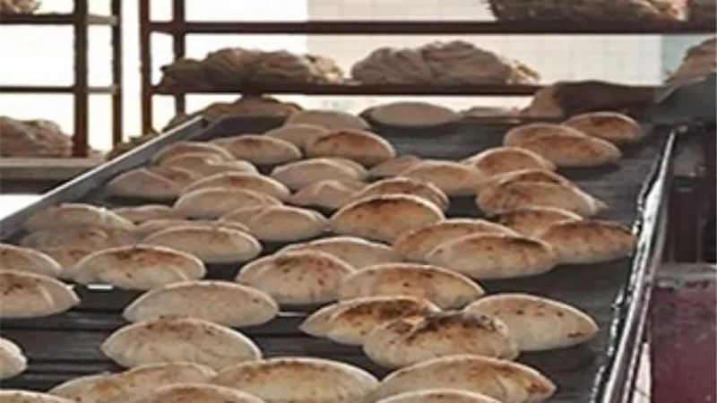 5 حقائق لا تعرفها عن الخبز والسلع.. الدولة تدعم 91% من قيمته