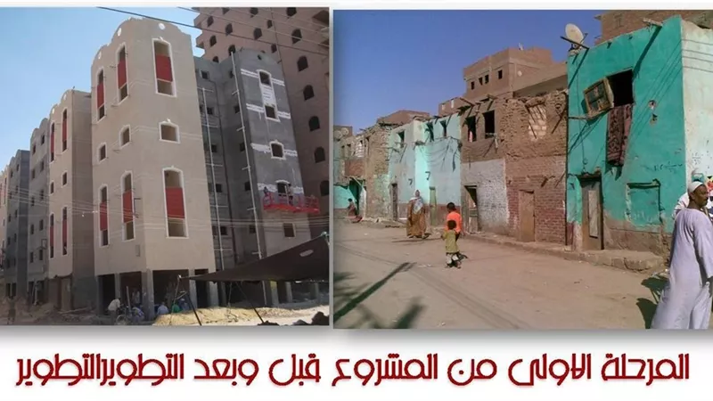 عشش المنيا اصبحت 