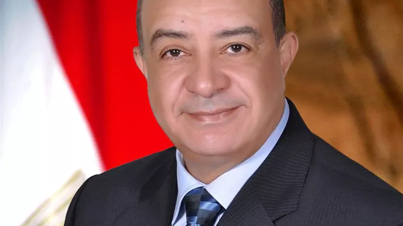 وكيل