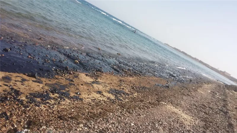 لجنة عاجلة من البيئة لبحث تلوث زيتي برأس غارب