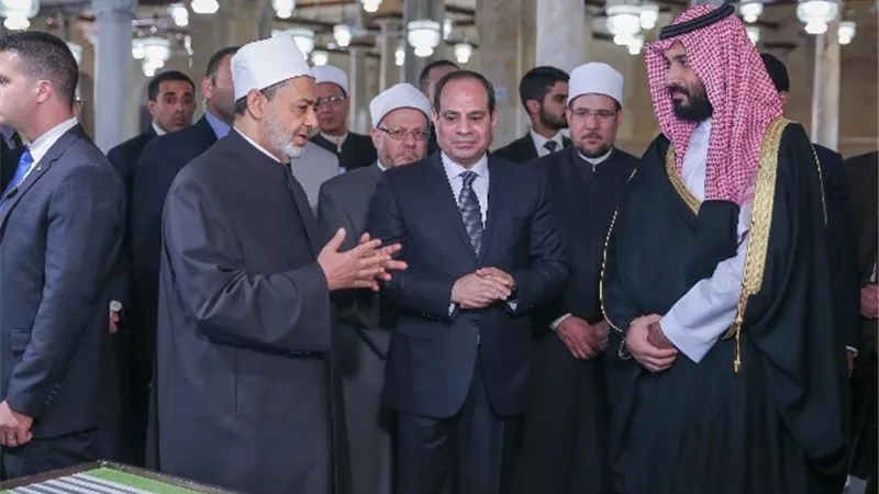 جولات ولقاءات شيخ الأزهر في 2018.. منهج إنساني ورسالة عالمية.. صور