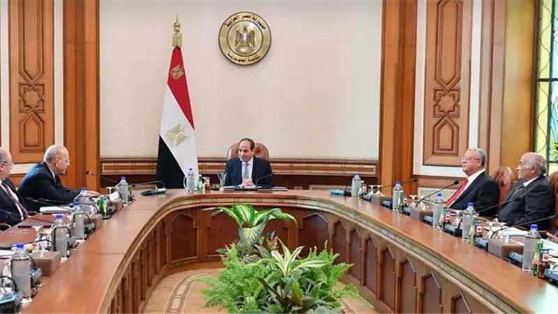 أعضاء الهيئات القضائية يعربون عن تقديرهم لاجتماع الرئيس السيسى مع المجلس